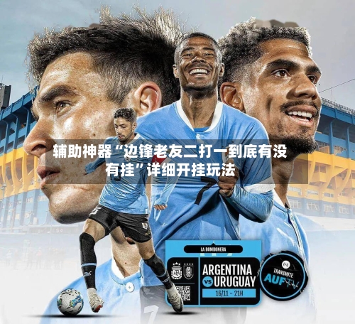 辅助神器“边锋老友二打一到底有没有挂	”详细开挂玩法-第1张图片