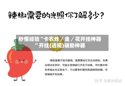 秒懂经验“卡农炸／金／花开挂神器”开挂(透视)辅助神器-第1张图片