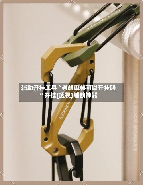 辅助开挂工具“老胡麻将可以开挂吗	”开挂(透视)辅助神器-第1张图片