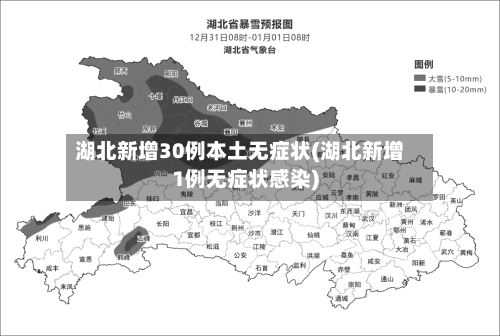 湖北新增30例本土无症状(湖北新增1例无症状感染)-第2张图片