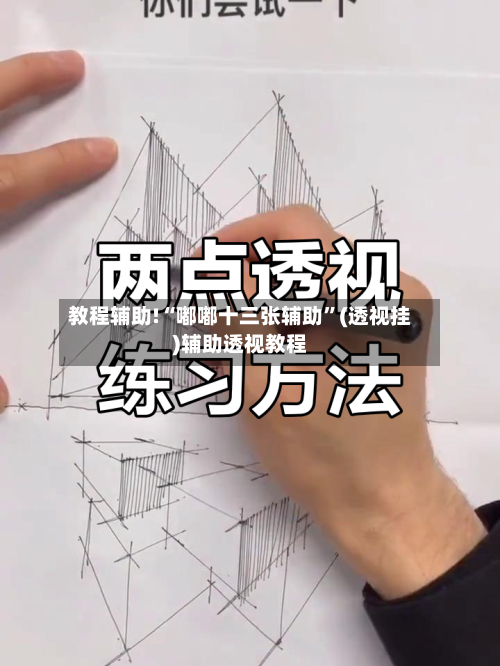 教程辅助!“嘟嘟十三张辅助”(透视挂)辅助透视教程-第3张图片