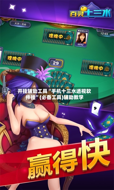 开挂辅助工具“手机十三水透视软件挂”(必备工具)辅助教学-第1张图片