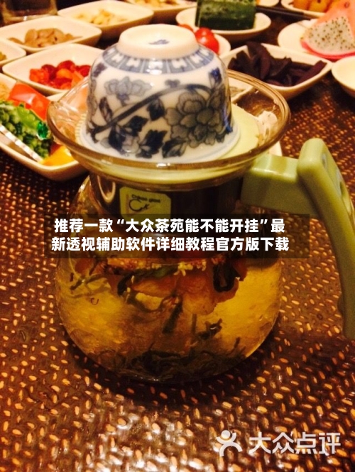 推荐一款“大众茶苑能不能开挂	”最新透视辅助软件详细教程官方版下载-第3张图片