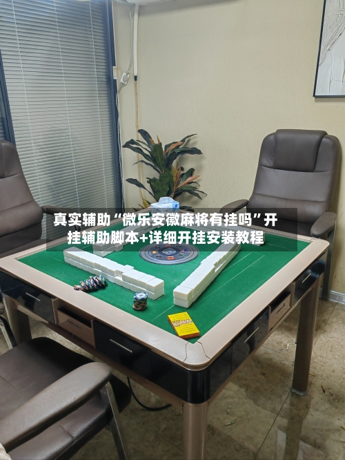 真实辅助“微乐安徽麻将有挂吗”开挂辅助脚本+详细开挂安装教程-第3张图片