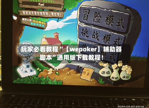 玩家必看教程“【wepoker】辅助器脚本”通用版下载教程！-第3张图片