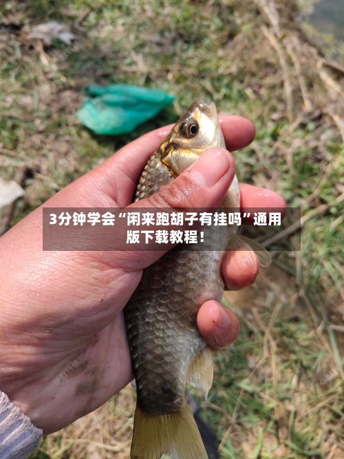 3分钟学会“闲来跑胡子有挂吗	”通用版下载教程！-第1张图片