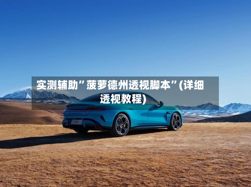 实测辅助	”菠萝德州透视脚本”(详细透视教程)-第1张图片