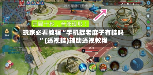 玩家必看教程“手机捉老麻子有挂吗”(透视挂)辅助透视教程-第2张图片