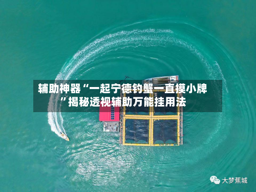 辅助神器“一起宁德钓蟹一直摸小牌”揭秘透视辅助万能挂用法-第3张图片