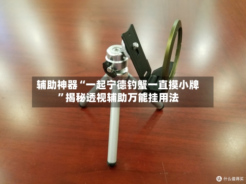 辅助神器“一起宁德钓蟹一直摸小牌”揭秘透视辅助万能挂用法-第1张图片