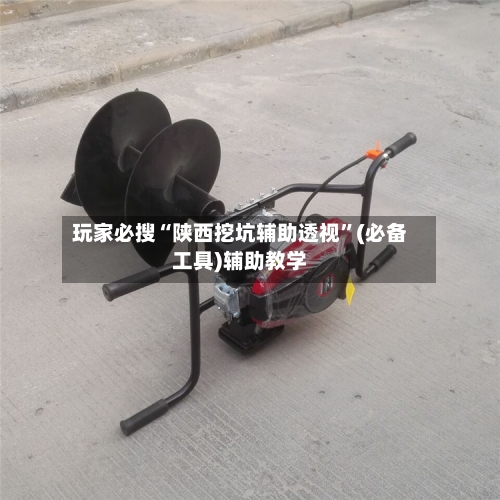 玩家必搜“陕西挖坑辅助透视”(必备工具)辅助教学-第1张图片