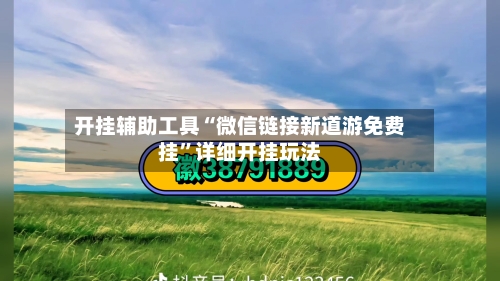 开挂辅助工具“微信链接新道游免费挂”详细开挂玩法-第2张图片