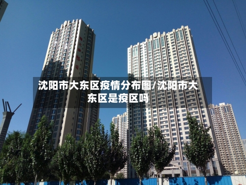 沈阳市大东区疫情分布图/沈阳市大东区是疫区吗-第1张图片