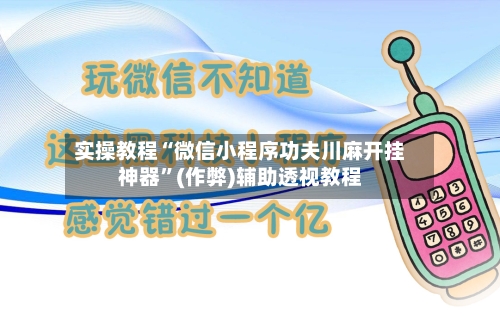 实操教程“微信小程序功夫川麻开挂神器”(作弊)辅助透视教程-第2张图片
