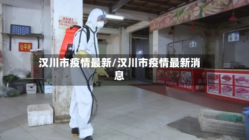 汉川市疫情最新/汉川市疫情最新消息-第2张图片