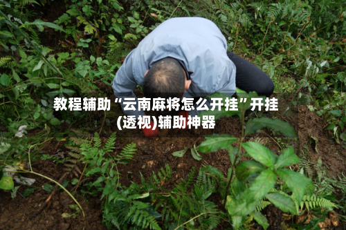 教程辅助“云南麻将怎么开挂”开挂(透视)辅助神器-第2张图片