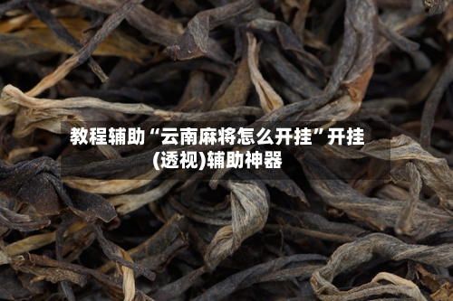 教程辅助“云南麻将怎么开挂	”开挂(透视)辅助神器-第3张图片