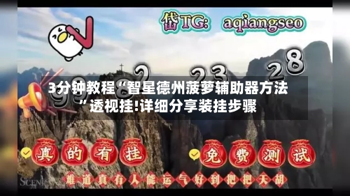 3分钟教程“智星德州菠萝辅助器方法”透视挂!详细分享装挂步骤-第1张图片