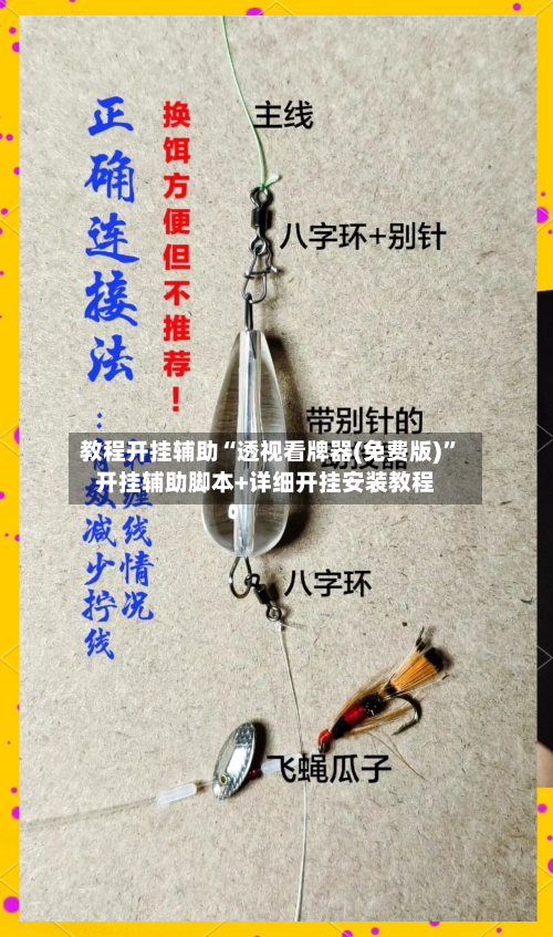 教程开挂辅助“透视看牌器(免费版)”开挂辅助脚本+详细开挂安装教程-第2张图片