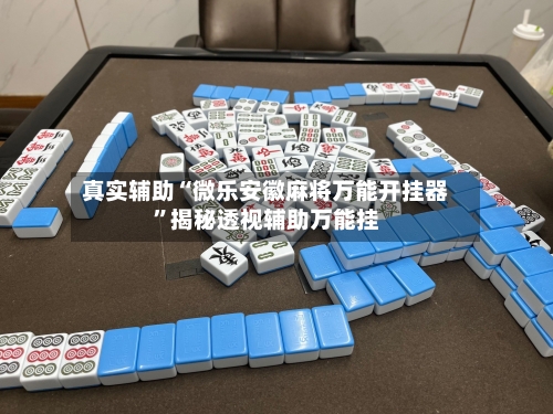 真实辅助“微乐安徽麻将万能开挂器”揭秘透视辅助万能挂-第2张图片