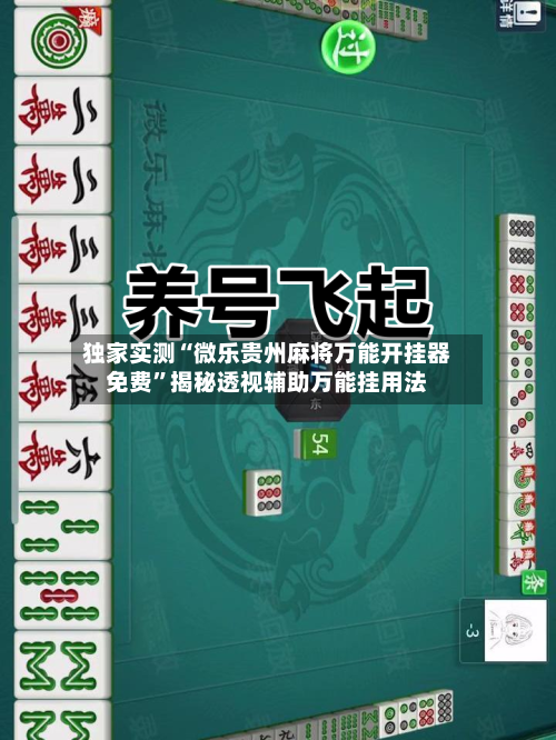 独家实测“微乐贵州麻将万能开挂器免费	”揭秘透视辅助万能挂用法-第3张图片