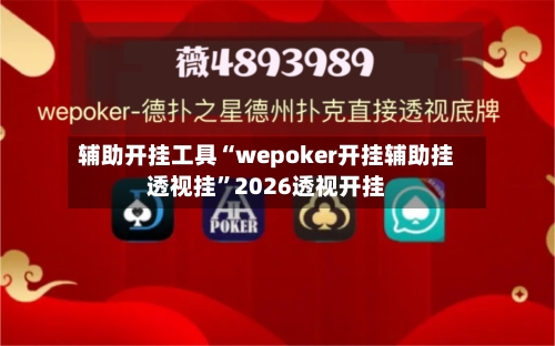 辅助开挂工具“wepoker开挂辅助挂透视挂	”2026透视开挂-第1张图片