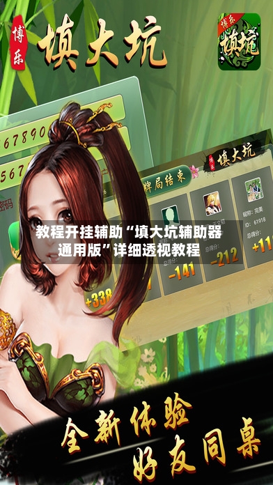 教程开挂辅助“填大坑辅助器通用版”详细透视教程-第2张图片