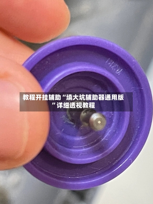 教程开挂辅助“填大坑辅助器通用版”详细透视教程-第1张图片