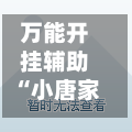 万能开挂辅助“小唐家乐园辅助器”附开挂脚本详细步骤-第2张图片
