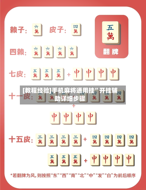 [教程经验]手机麻将通用挂”开挂辅助详细步骤-第2张图片