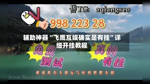 辅助神器“飞鹰互娱确实是有挂	”详细开挂教程-第1张图片