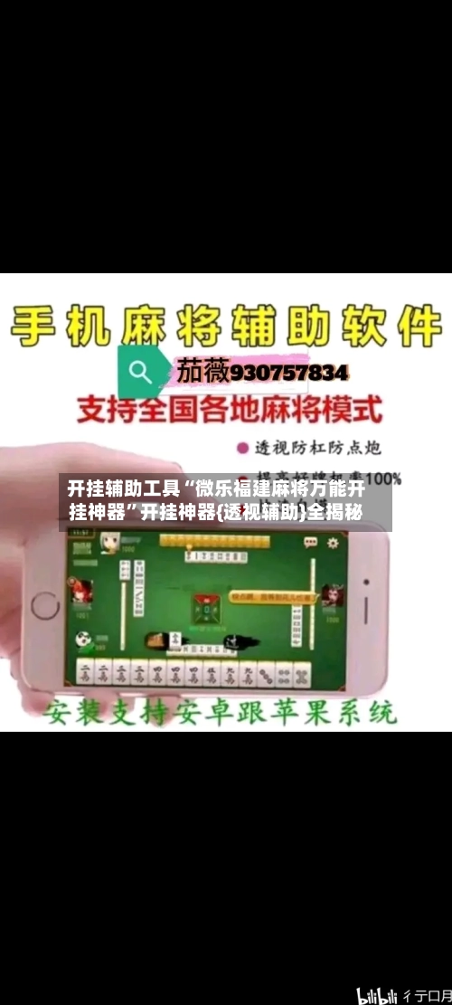 开挂辅助工具“微乐福建麻将万能开挂神器”开挂神器{透视辅助}全揭秘-第2张图片