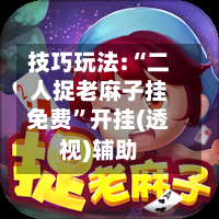 技巧玩法:“二人捉老麻子挂免费”开挂(透视)辅助-第3张图片