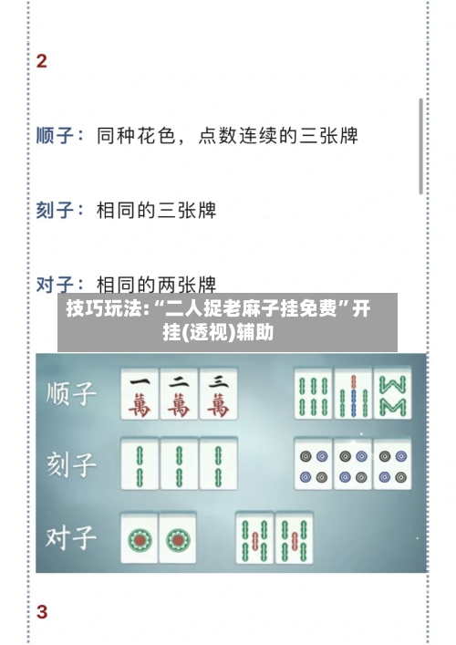 技巧玩法:“二人捉老麻子挂免费	”开挂(透视)辅助-第2张图片