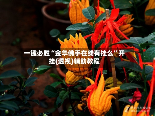 一键必胜“金华佛手在线有挂么”开挂(透视)辅助教程-第1张图片