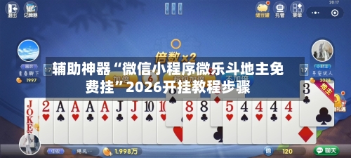 辅助神器“微信小程序微乐斗地主免费挂”2026开挂教程步骤-第3张图片