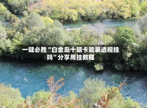 一键必胜“白金岛十胡卡能装透视挂吗”分享用挂教程-第2张图片