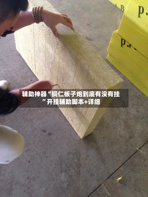 辅助神器“铜仁板子炮到底有没有挂	”开挂辅助脚本+详细-第1张图片