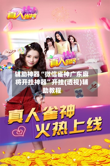 辅助神器“微信雀神广东麻将开挂神器”开挂(透视)辅助教程-第3张图片