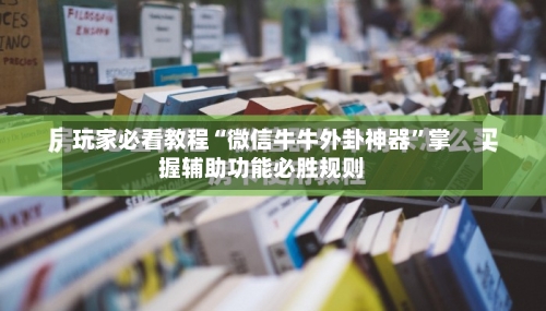 玩家必看教程“微信牛牛外卦神器”掌握辅助功能必胜规则-第2张图片