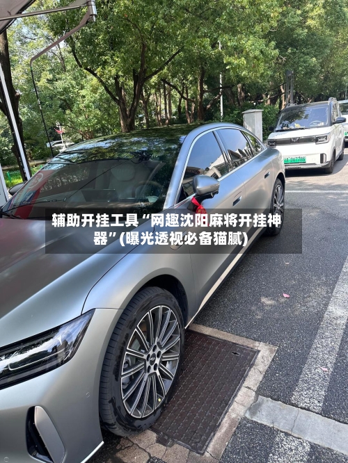 辅助开挂工具“网趣沈阳麻将开挂神器”(曝光透视必备猫腻)-第1张图片