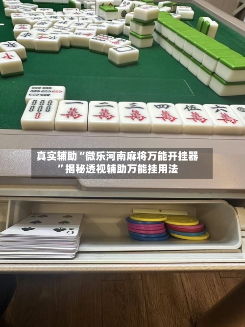 真实辅助“微乐河南麻将万能开挂器	”揭秘透视辅助万能挂用法-第2张图片