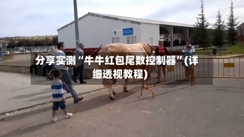 分享实测“牛牛红包尾数控制器”(详细透视教程)-第2张图片