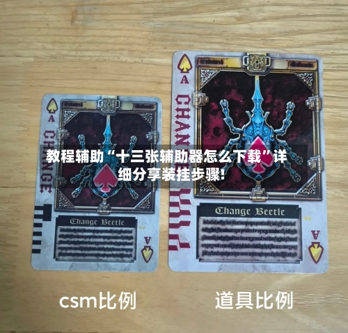 教程辅助“十三张辅助器怎么下载	”详细分享装挂步骤!-第2张图片