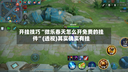 开挂技巧“微乐春天怎么开免费的挂件”(透视)其实确实有挂-第2张图片