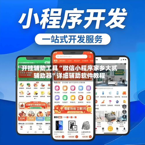 开挂辅助工具“微信小程序家乡大贰辅助器	”详细辅助软件教程-第1张图片