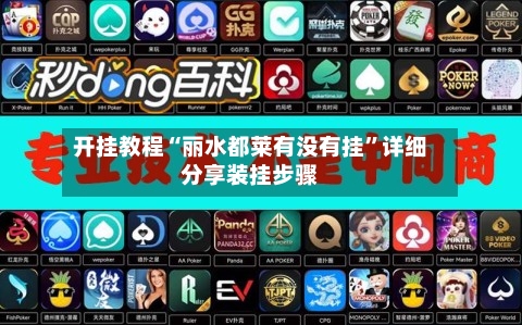 开挂教程“丽水都莱有没有挂”详细分享装挂步骤-第1张图片