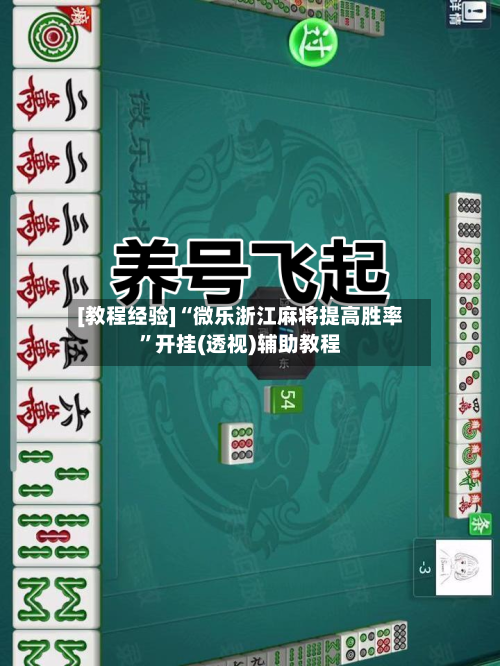 [教程经验]“微乐浙江麻将提高胜率	”开挂(透视)辅助教程-第2张图片