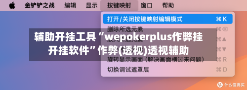 辅助开挂工具“wepokerplus作弊挂开挂软件	”作弊(透视)透视辅助-第1张图片