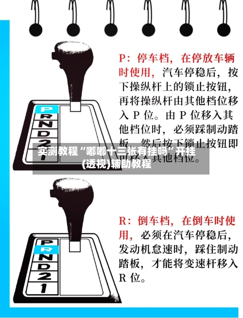 实测教程“嘟嘟十三张有挂吗”开挂(透视)辅助教程-第1张图片